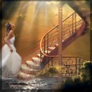 Meet your Posher, Sandy